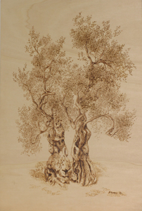 Amiche - cm. 61x41